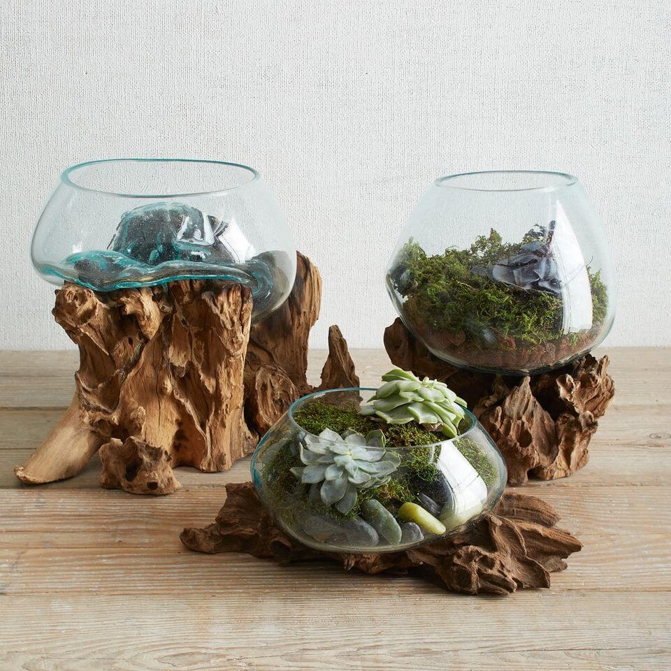 Wood + Glass Terrariums West Elm Australia